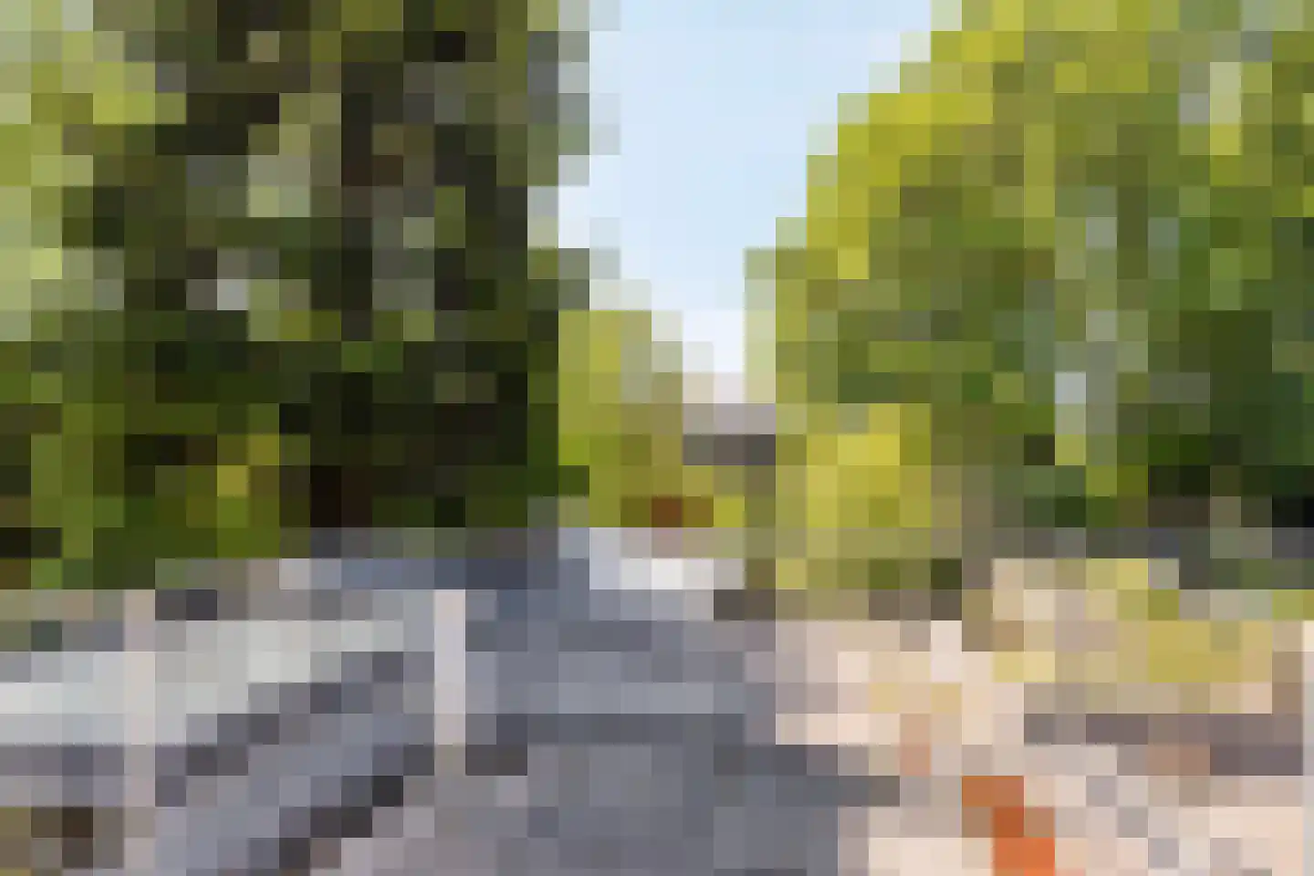 Pater van den Elsenstraat 61 Gemert thumbnail 31