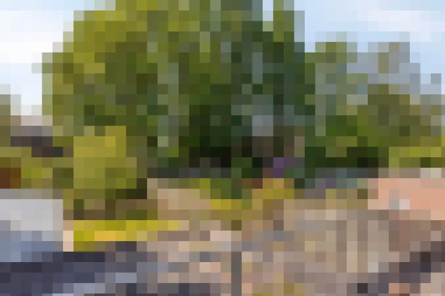 Pater van den Elsenstraat 61 Gemert thumbnail 32