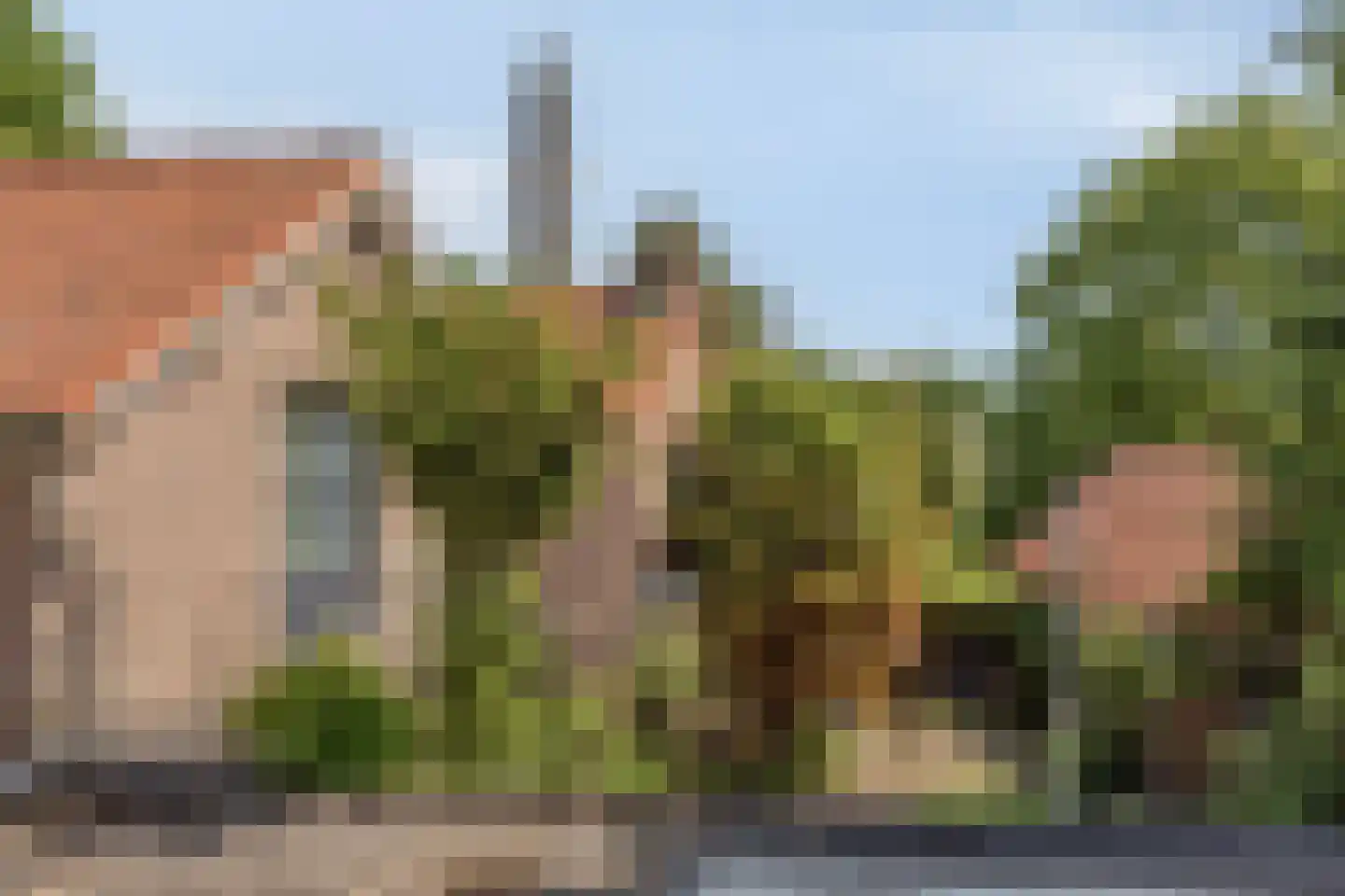 Pater van den Elsenstraat 61 Gemert thumbnail 33