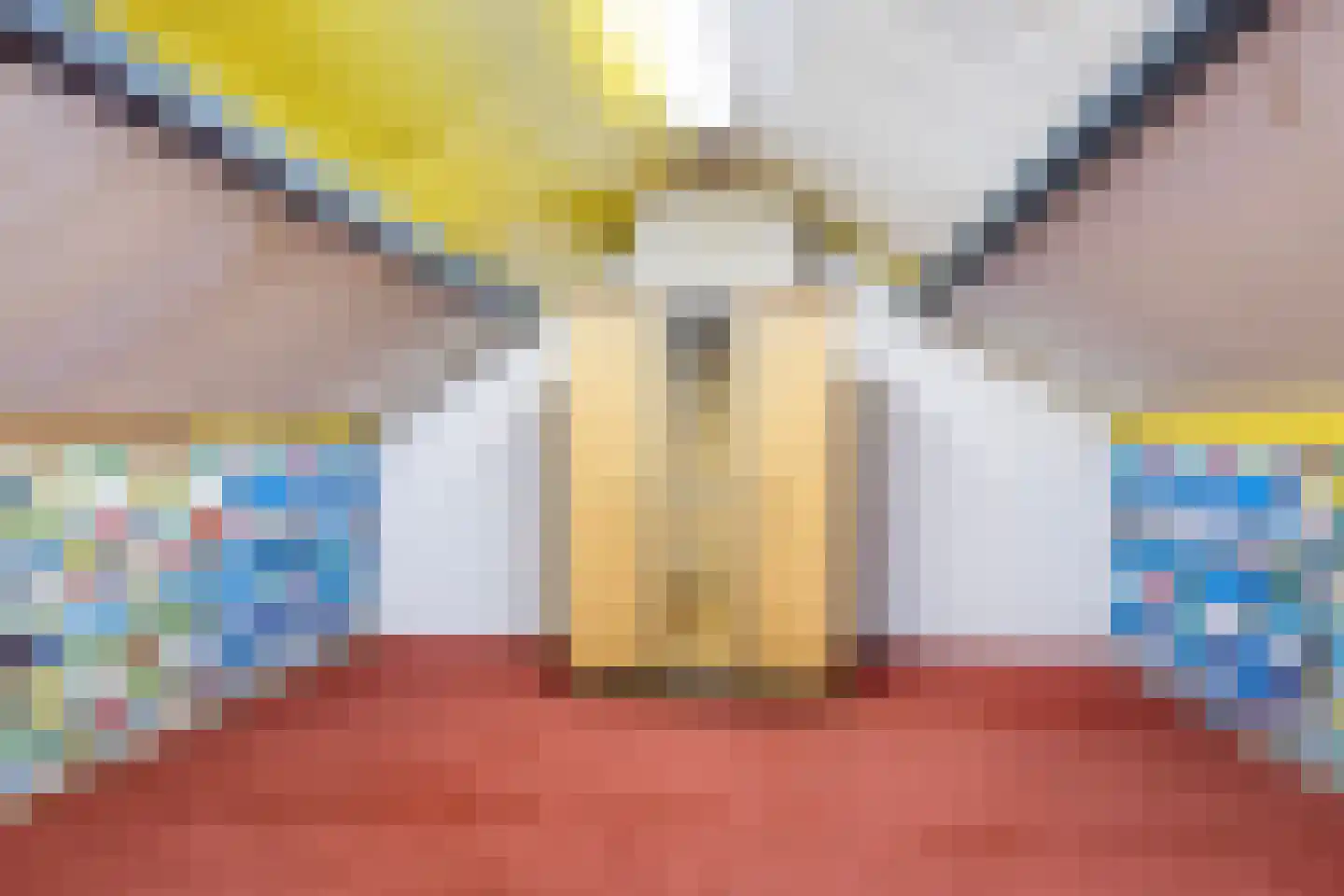 Pater van den Elsenstraat 61 Gemert thumbnail 34