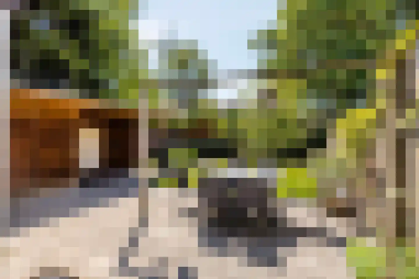 Pater van den Elsenstraat 61 Gemert thumbnail 35