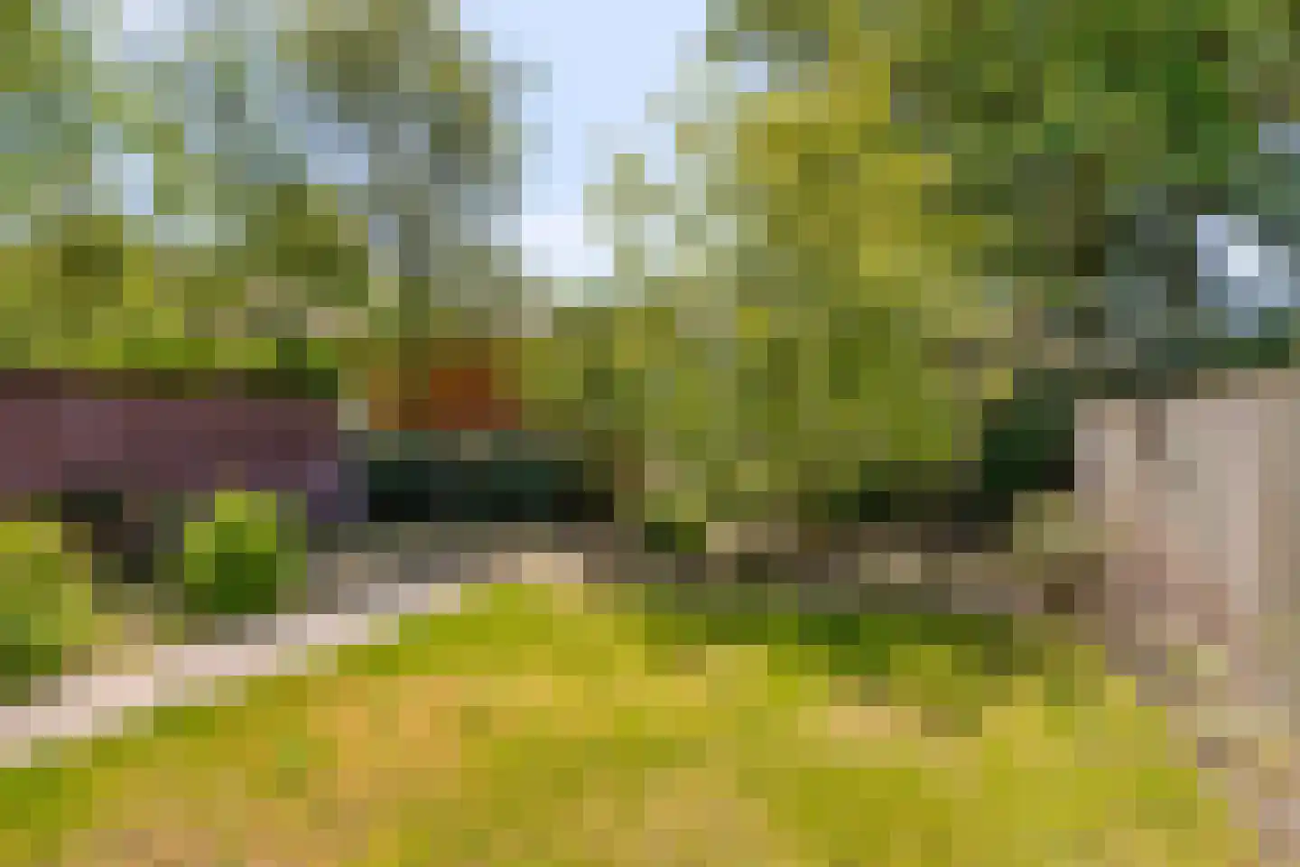 Pater van den Elsenstraat 61 Gemert thumbnail 36
