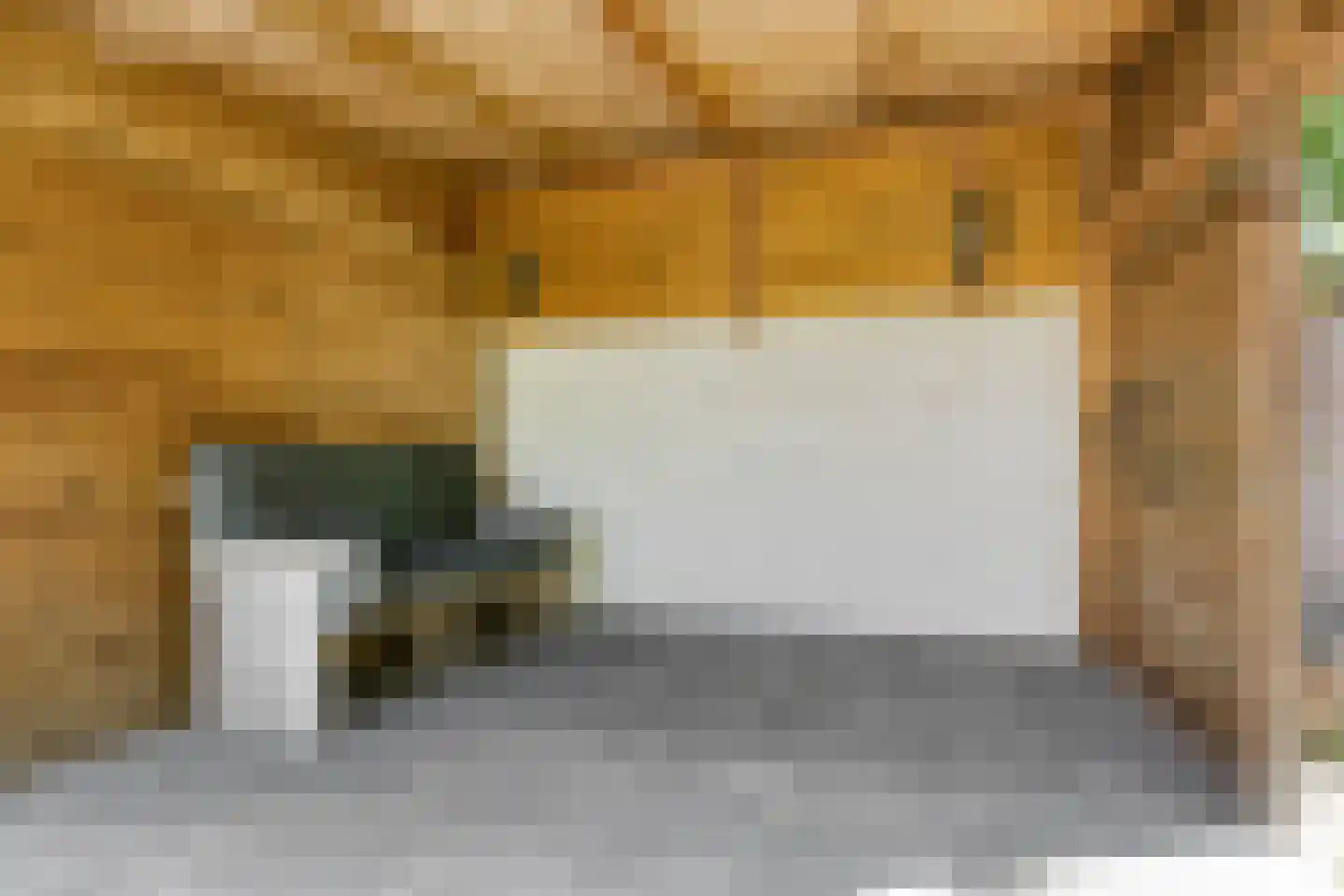 Pater van den Elsenstraat 61 Gemert thumbnail 37