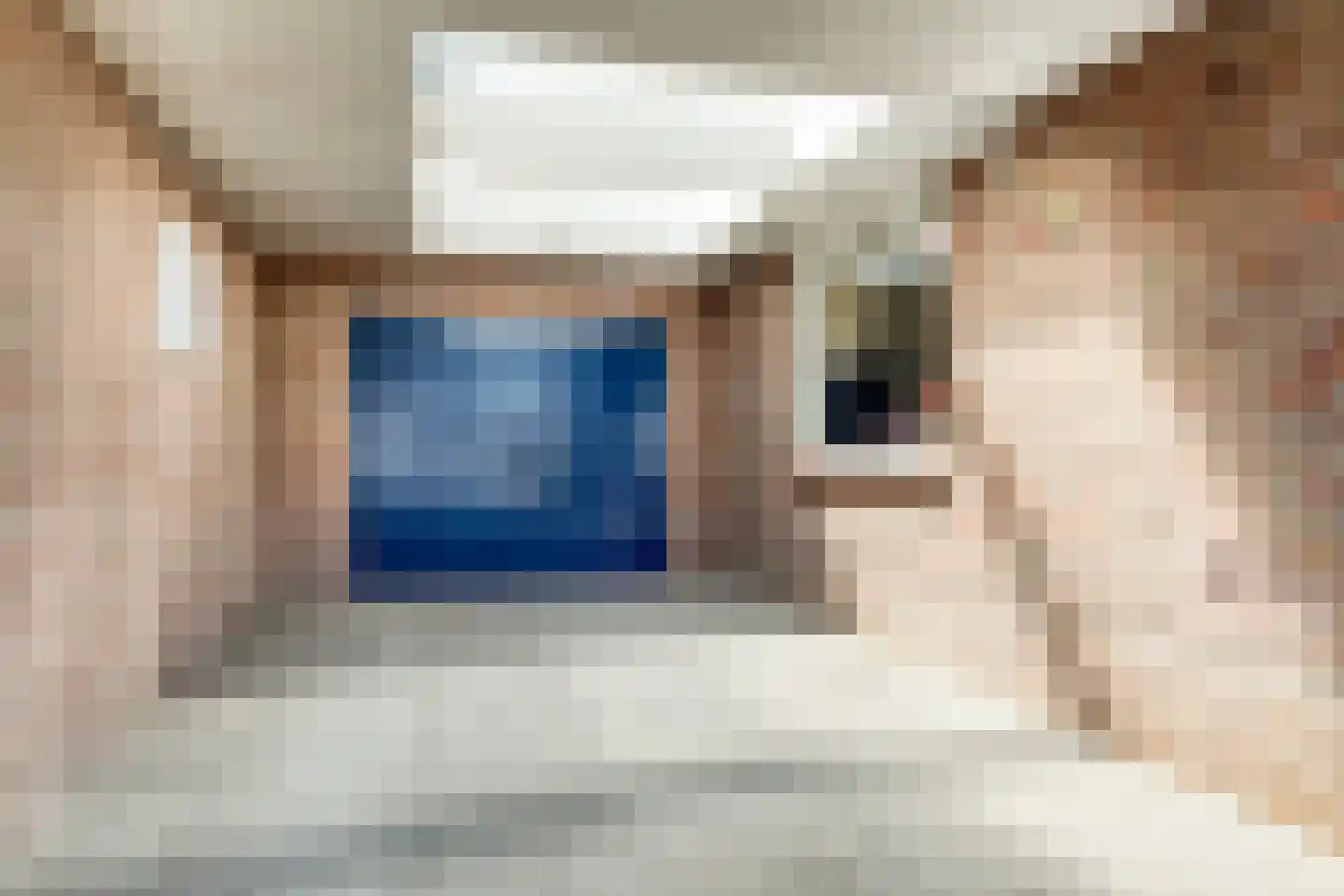 Pater van den Elsenstraat 61 Gemert thumbnail 8