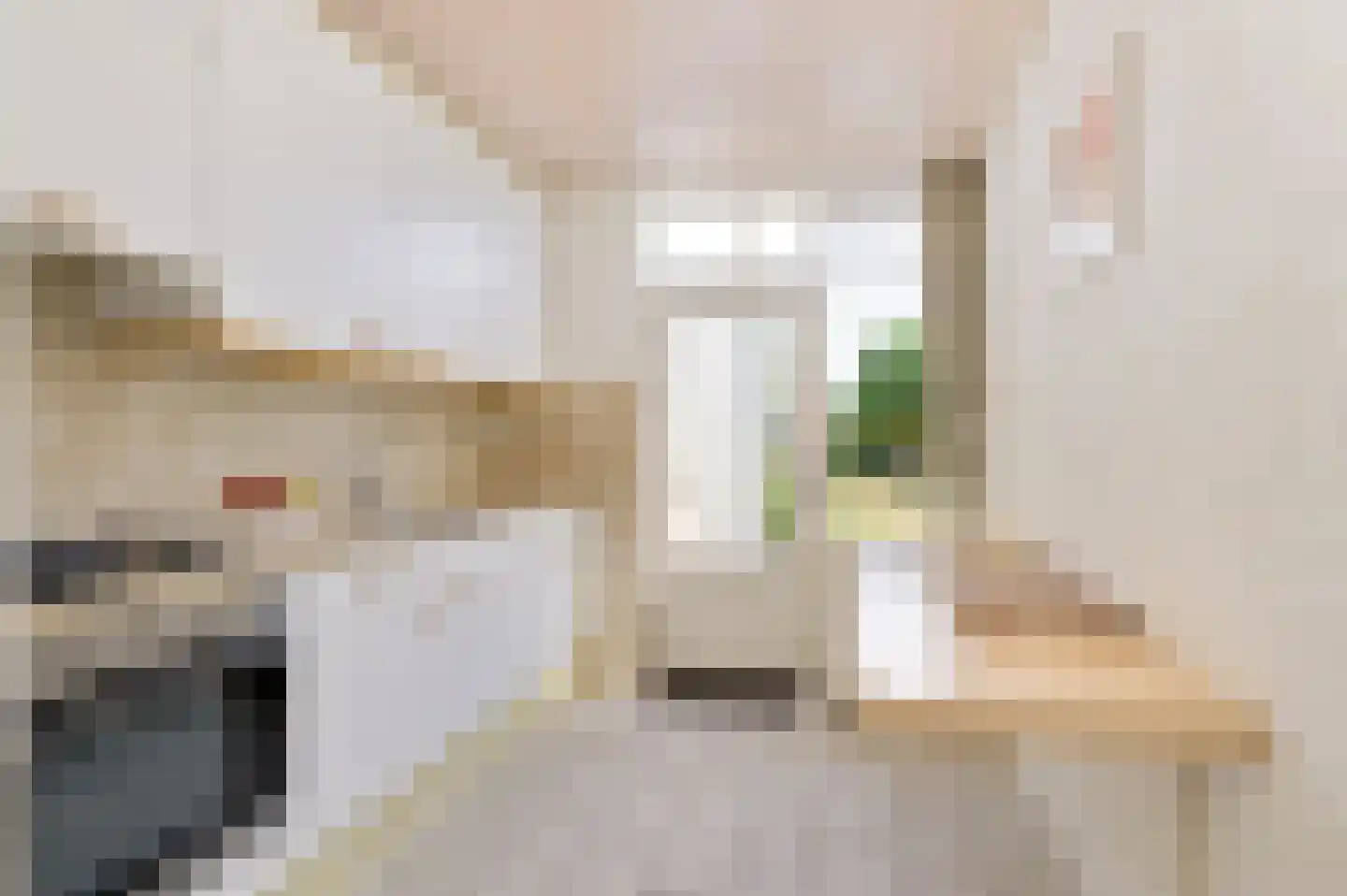 Pater van den Elsenstraat 9 Schijndel thumbnail 10