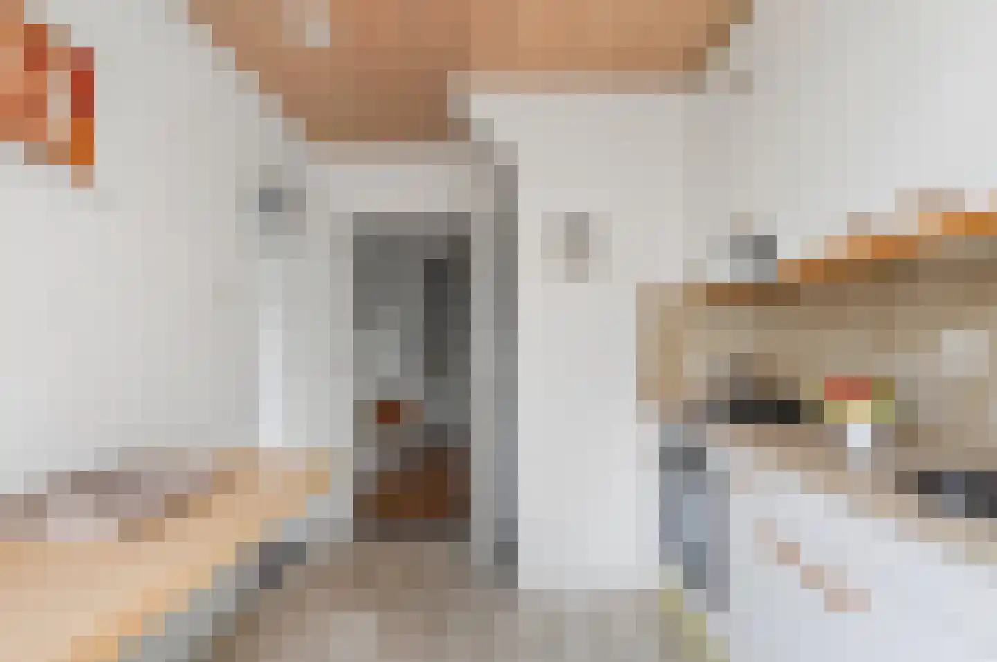 Pater van den Elsenstraat 9 Schijndel thumbnail 12