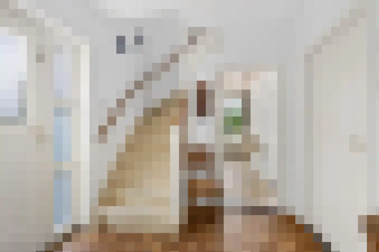 Pater van den Elsenstraat 9 Schijndel thumbnail 13