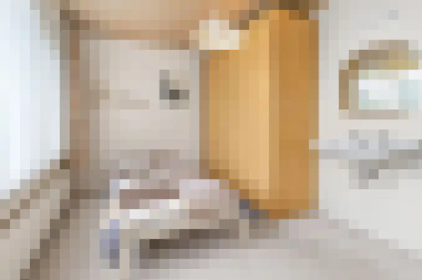 Pater van den Elsenstraat 9 Schijndel thumbnail 17