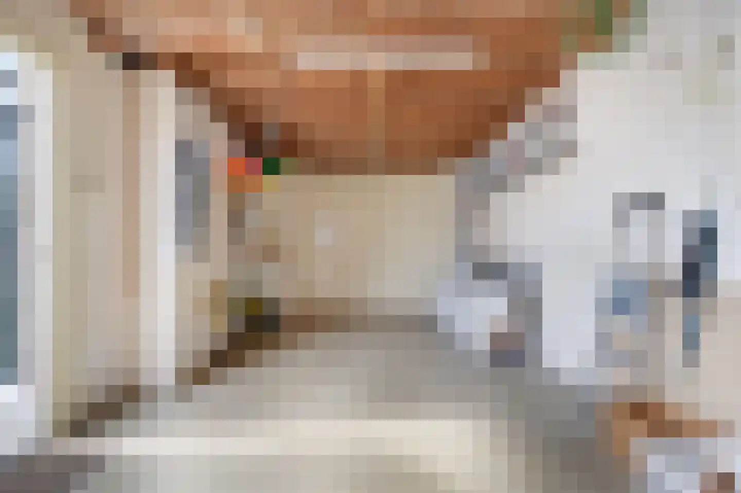 Pater van den Elsenstraat 9 Schijndel thumbnail 26