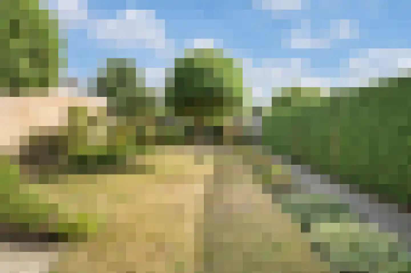 Pater van den Elsenstraat 9 Schijndel thumbnail 28