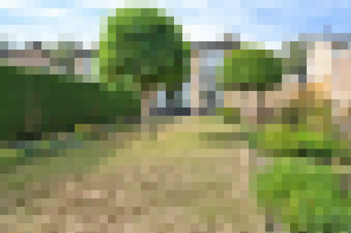Pater van den Elsenstraat 9 Schijndel thumbnail 5