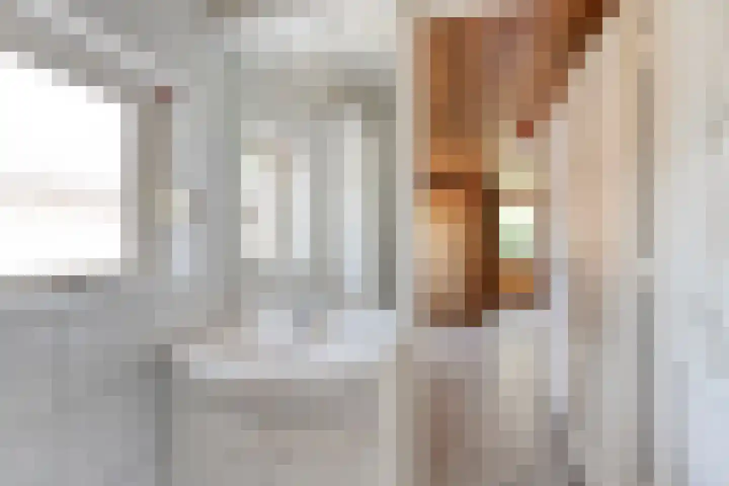Pater van den Elzenstraat 1 Heesch thumbnail 14