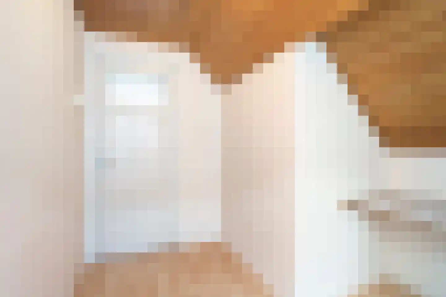 Pater van den Elzenstraat 1 Heesch thumbnail 24