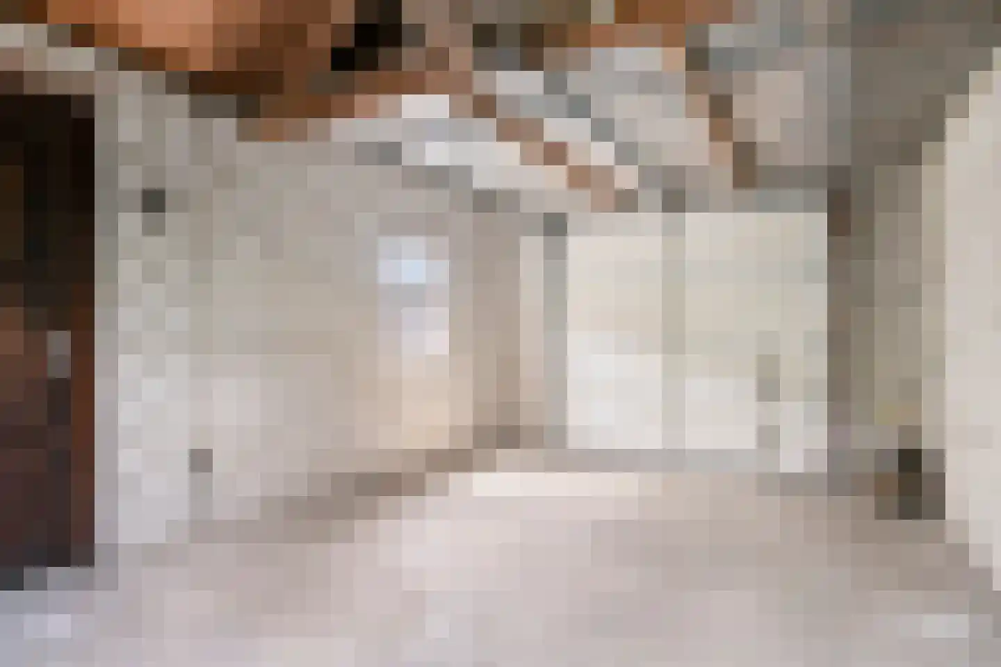 Pater van den Elzenstraat 1 Heesch thumbnail 26