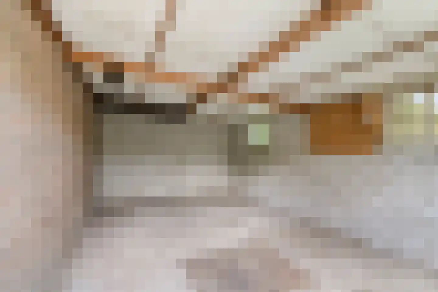 Pater van den Elzenstraat 1 Heesch thumbnail 29