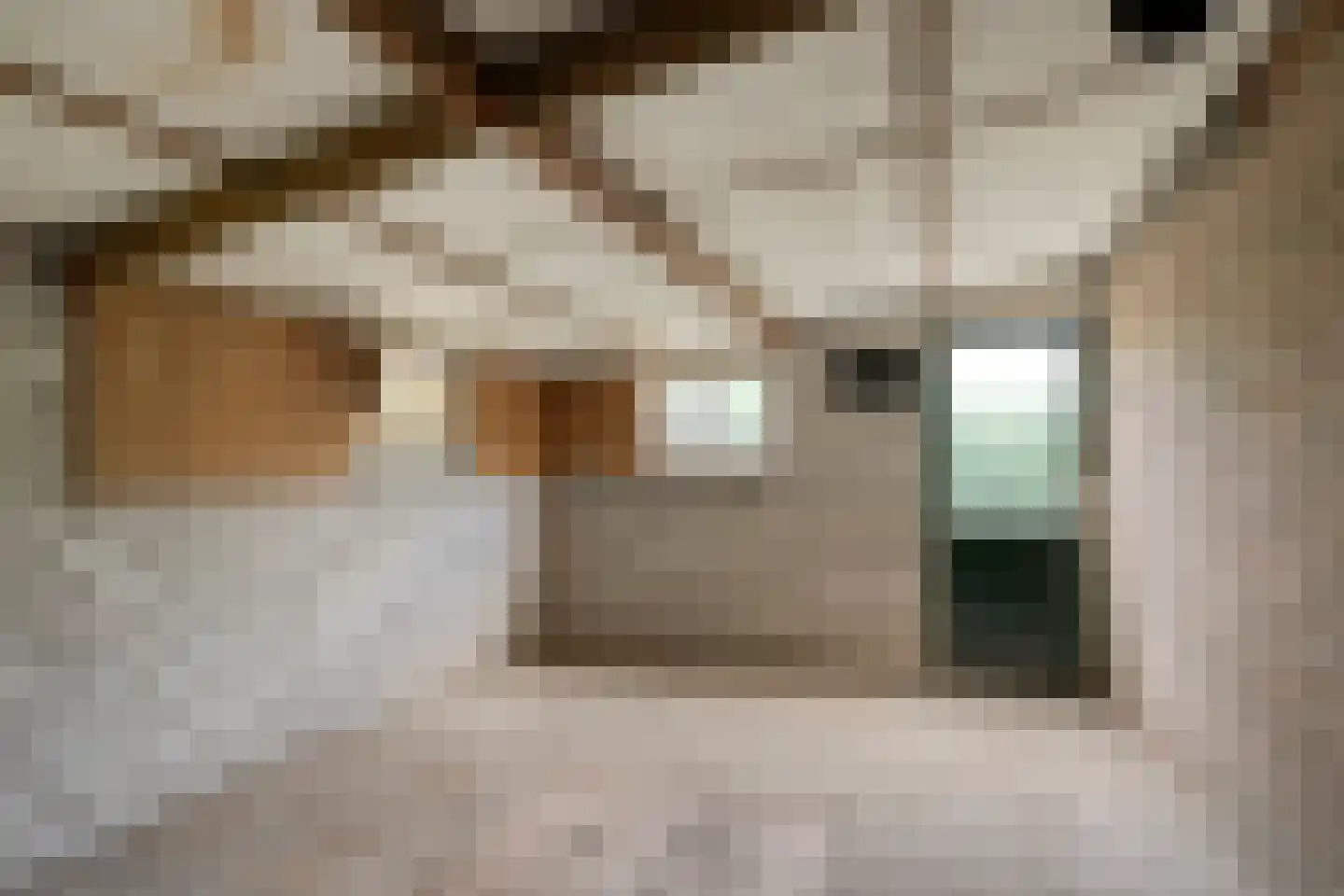 Pater van den Elzenstraat 1 Heesch thumbnail 30