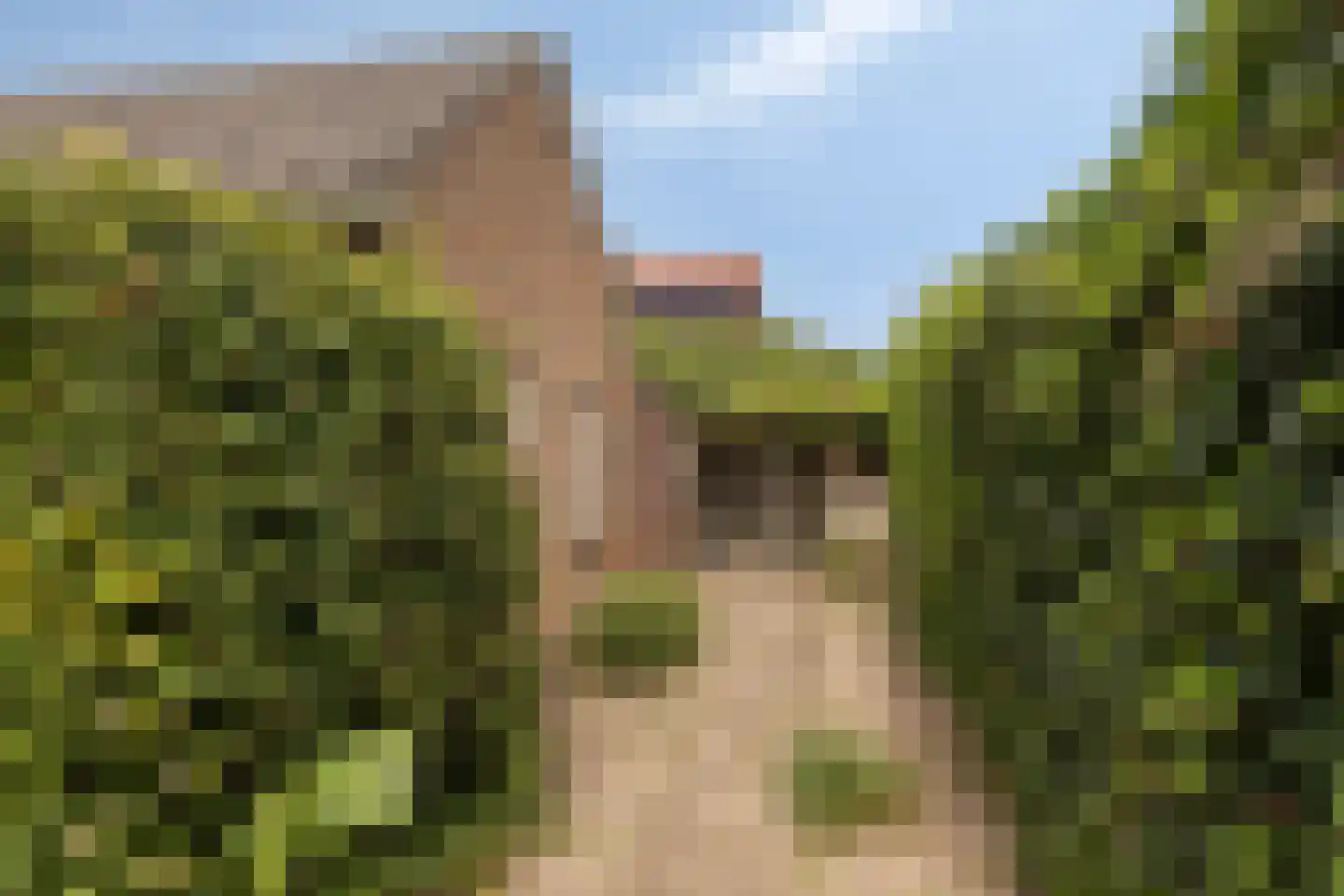 Pater van den Elzenstraat 1 Heesch thumbnail 34