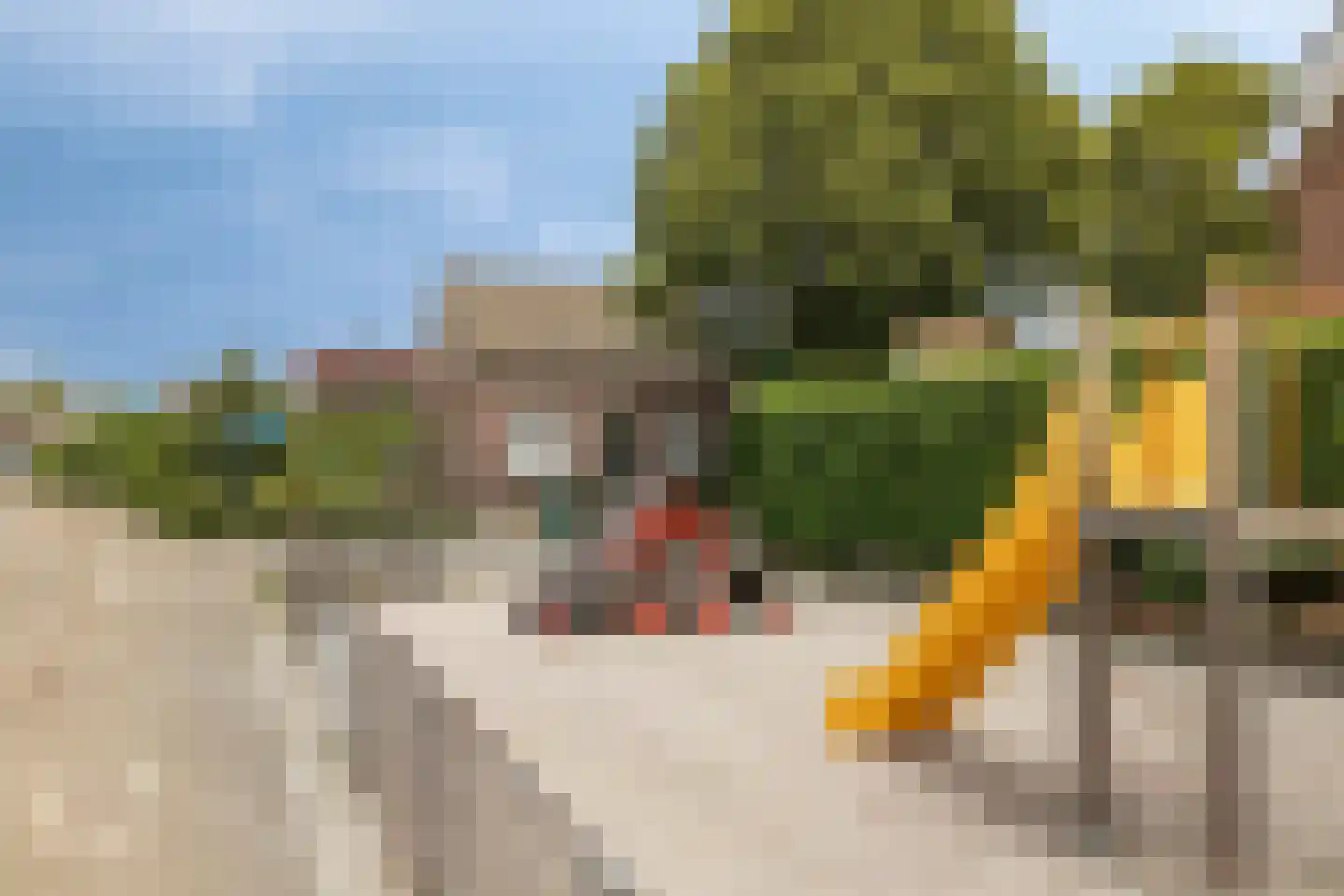 Pater van den Elzenstraat 1 Heesch thumbnail 40