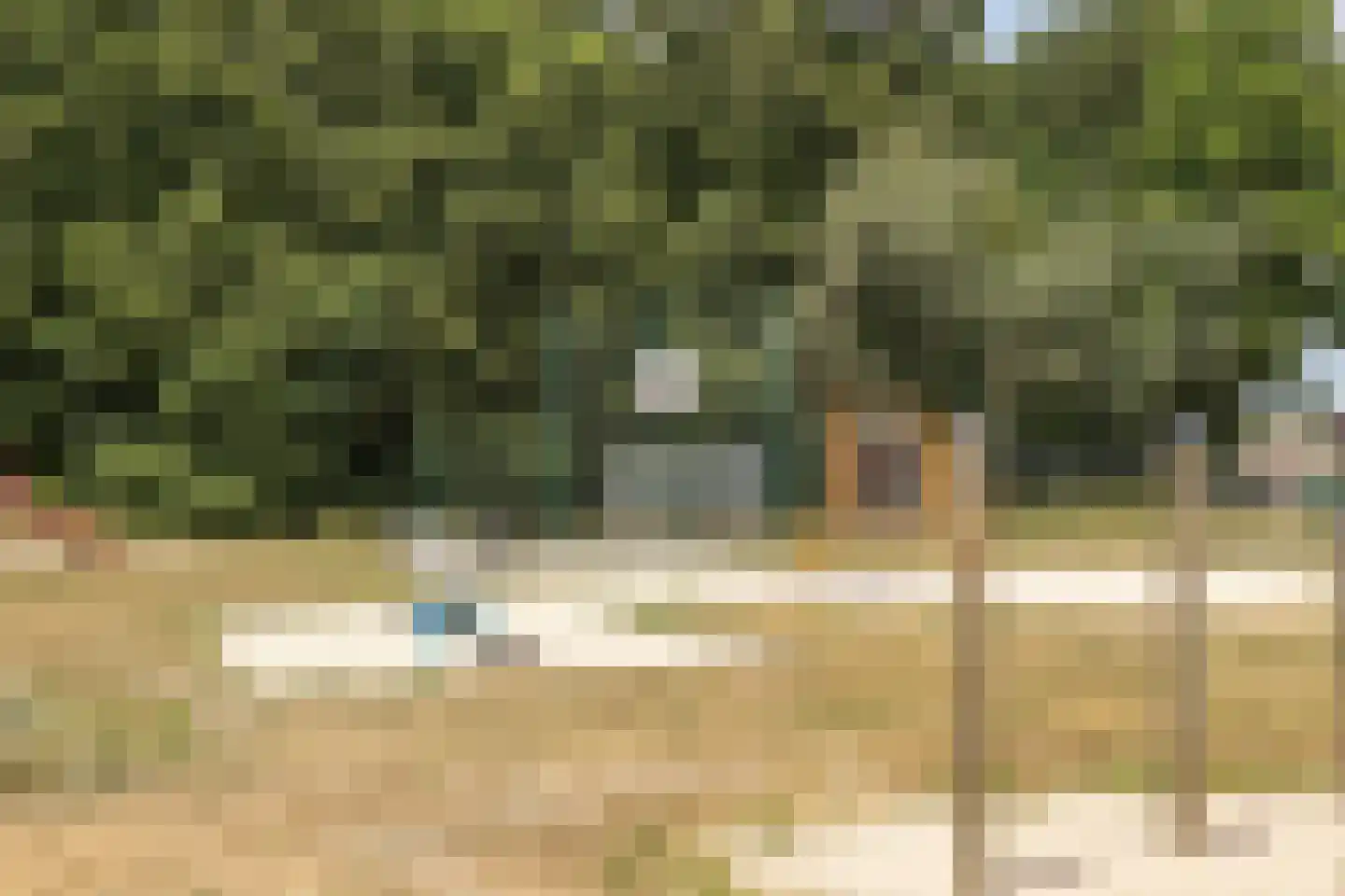 Pater van den Elzenstraat 1 Heesch thumbnail 41