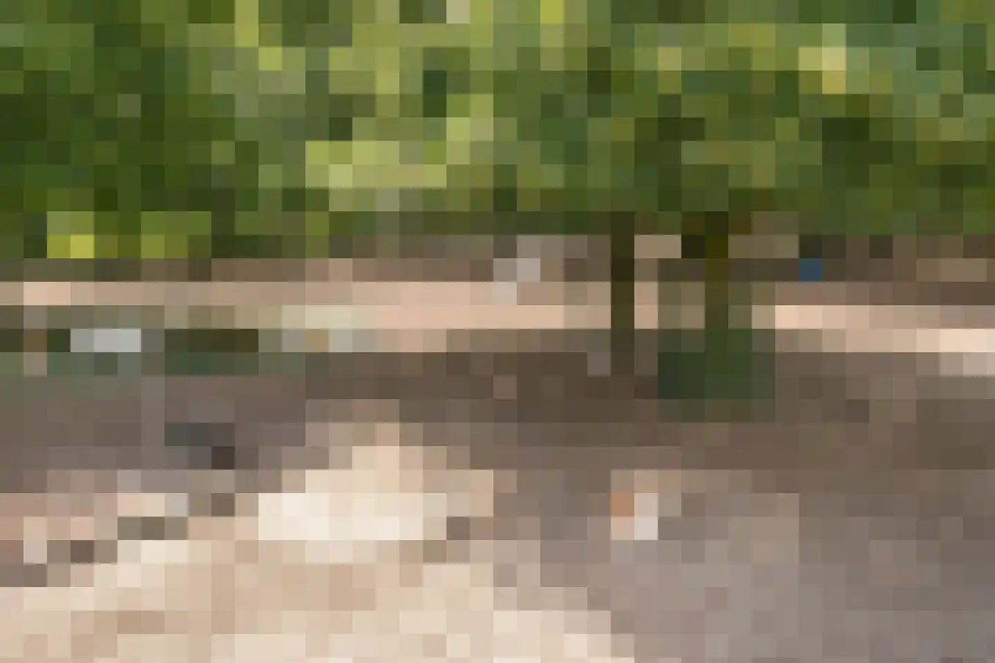 Pater van den Elzenstraat 1 Heesch thumbnail 43