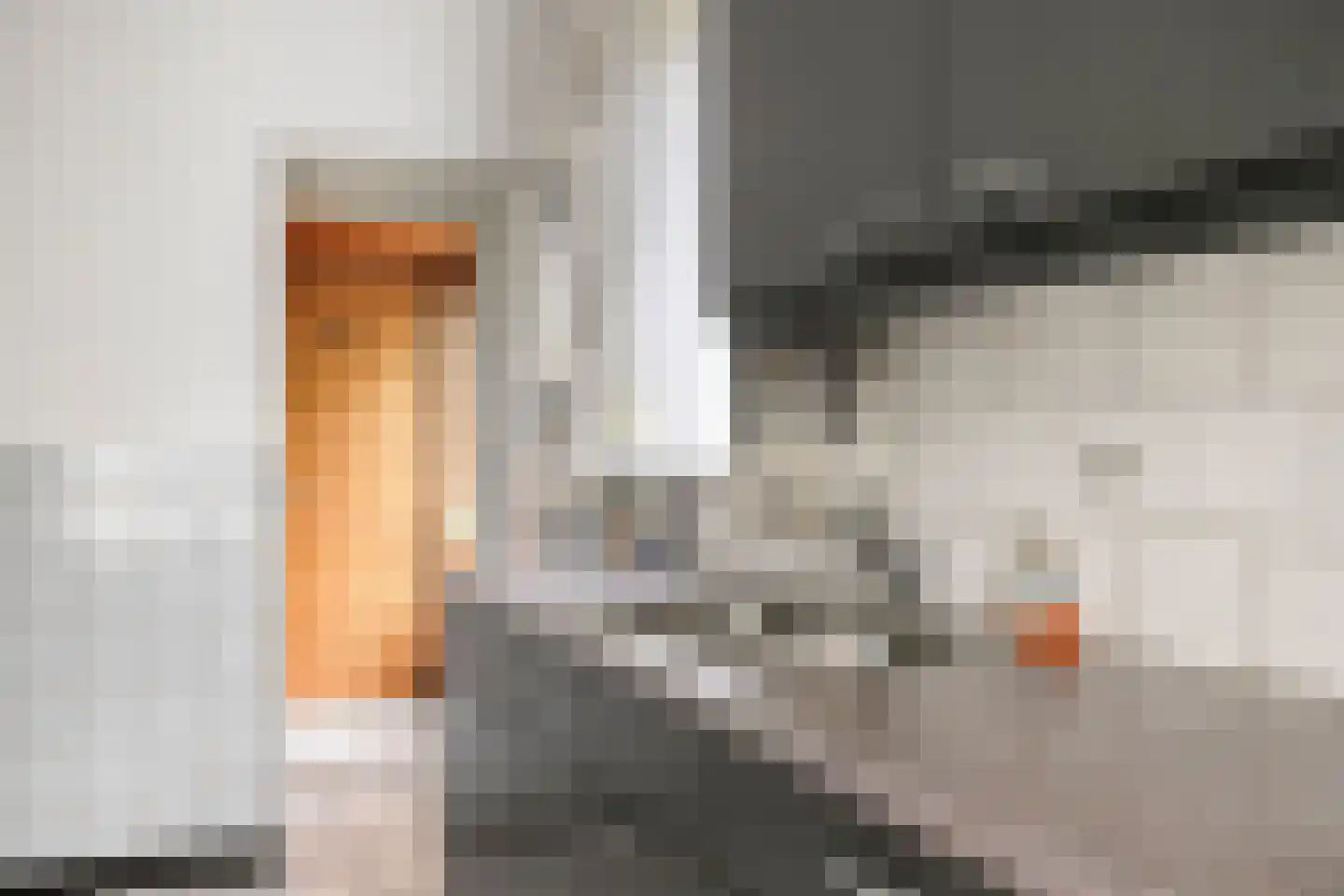 Pater van den Elzenstraat 1 Heesch thumbnail 8