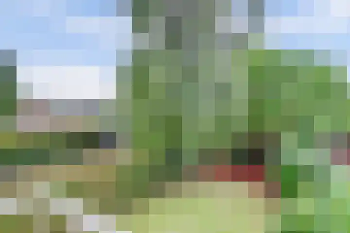 Pater van den Heuvelstraat 4 Roermond thumbnail 32