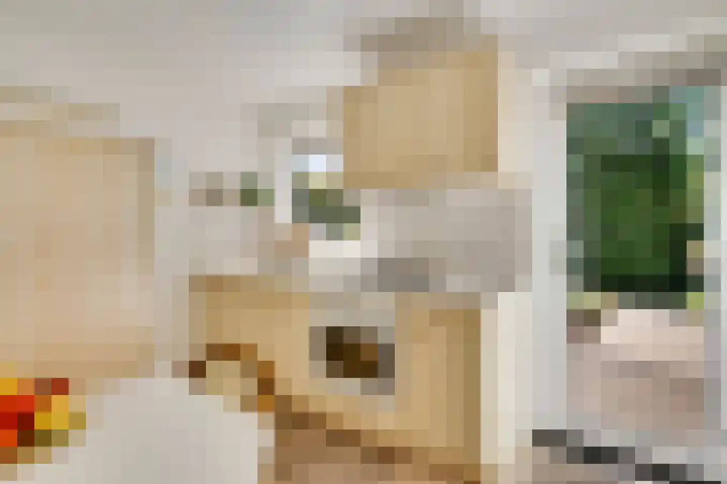 Pater van den Heuvelstraat 6 Roermond thumbnail 9