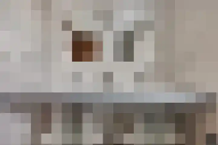 Pater van Donstraat 11 Heibloem thumbnail 30