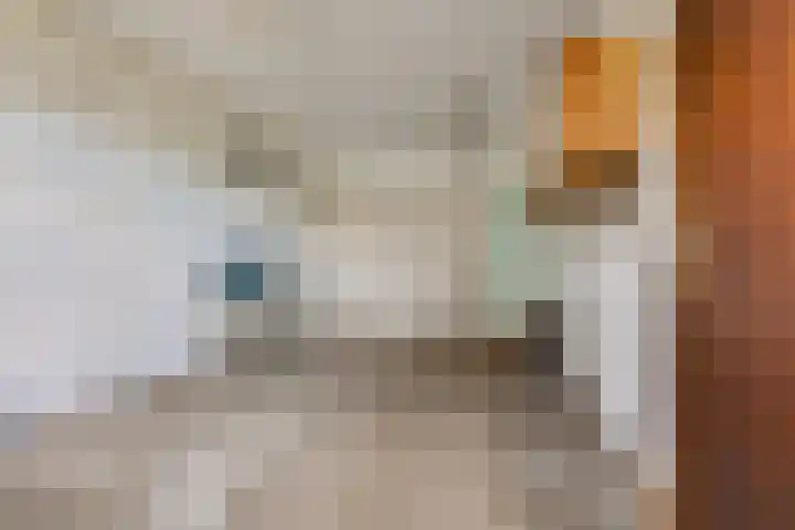 Pater van Donstraat 11 Heibloem thumbnail 38