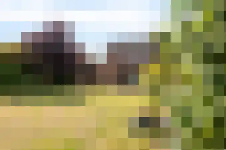 Pater van Donstraat 11 Heibloem thumbnail 48