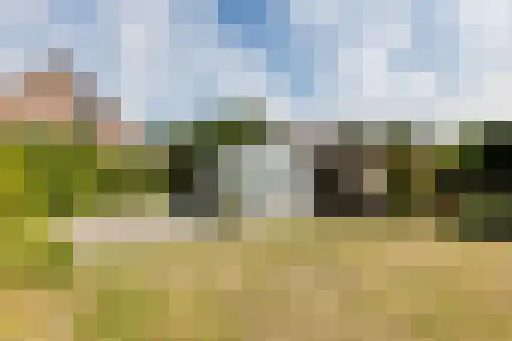 Pater van Donstraat 11 Heibloem thumbnail 49