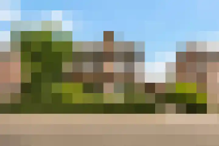 Pater van Donstraat 11 Heibloem thumbnail 51