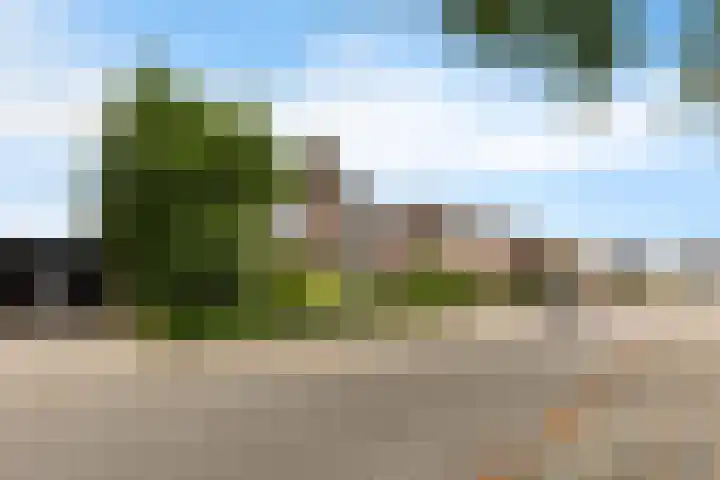 Pater van Donstraat 11 Heibloem thumbnail 54