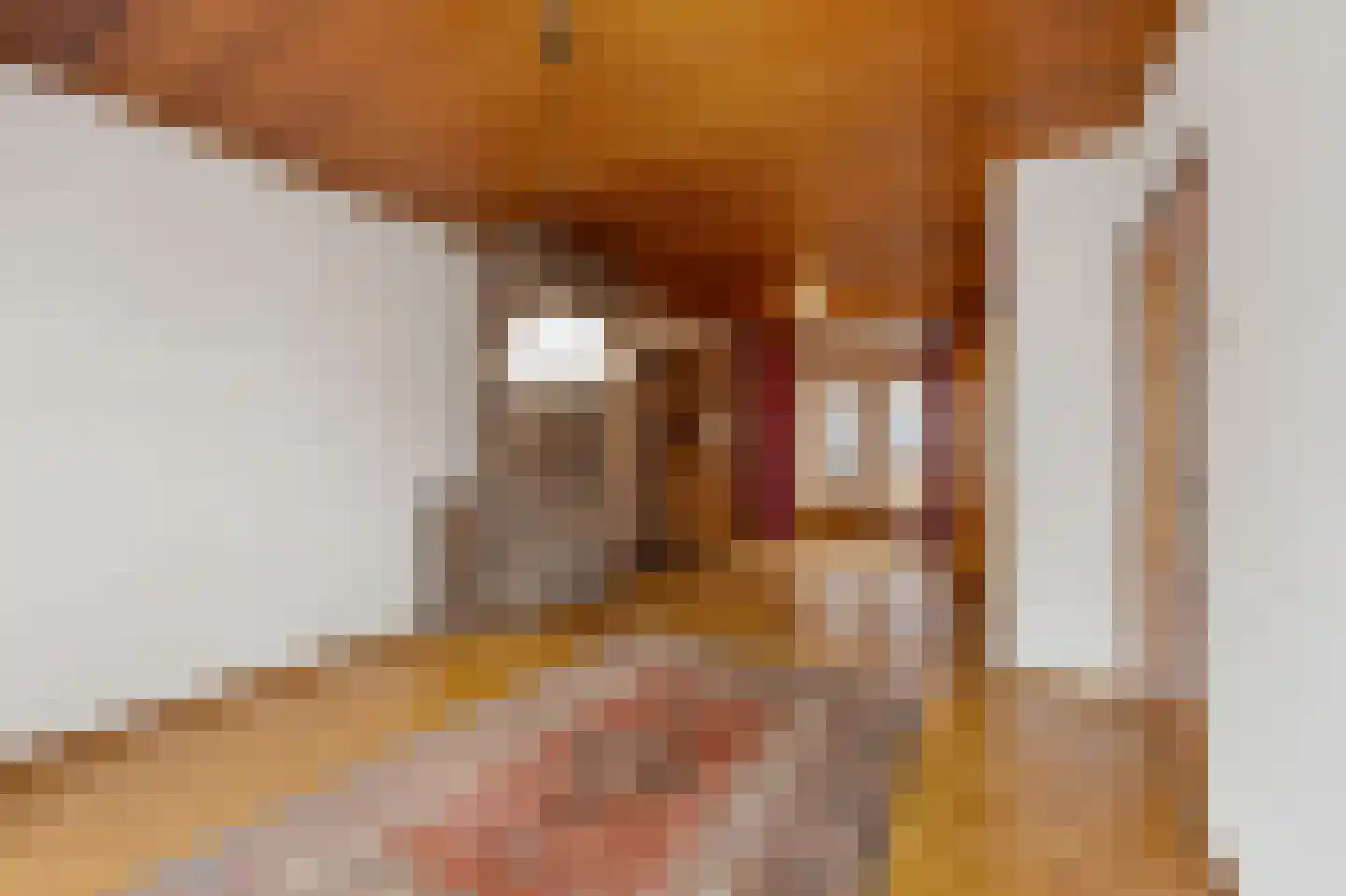 Pater van Heldenstraat 14 Susteren thumbnail 10