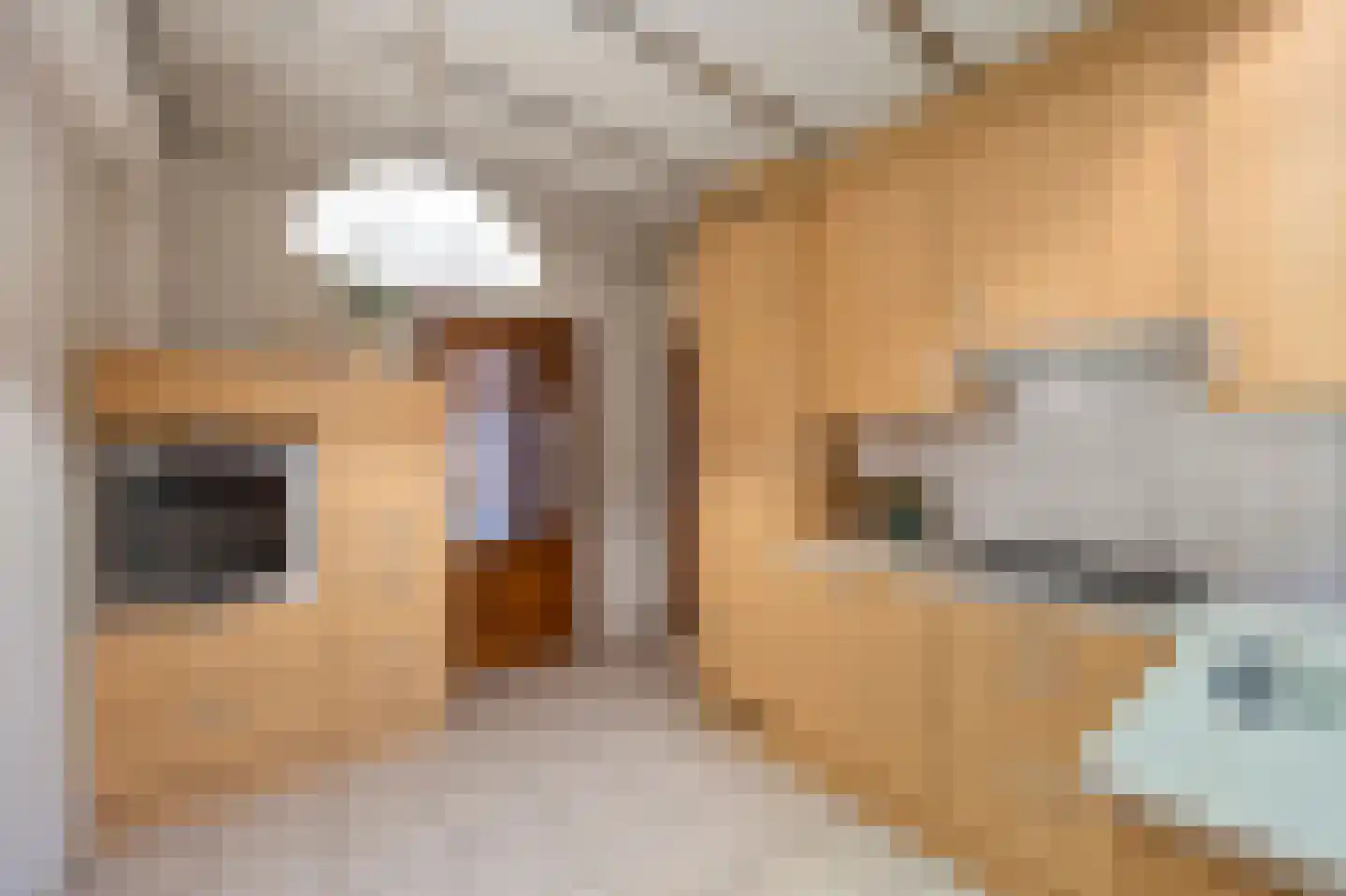Pater van Heldenstraat 14 Susteren thumbnail 14