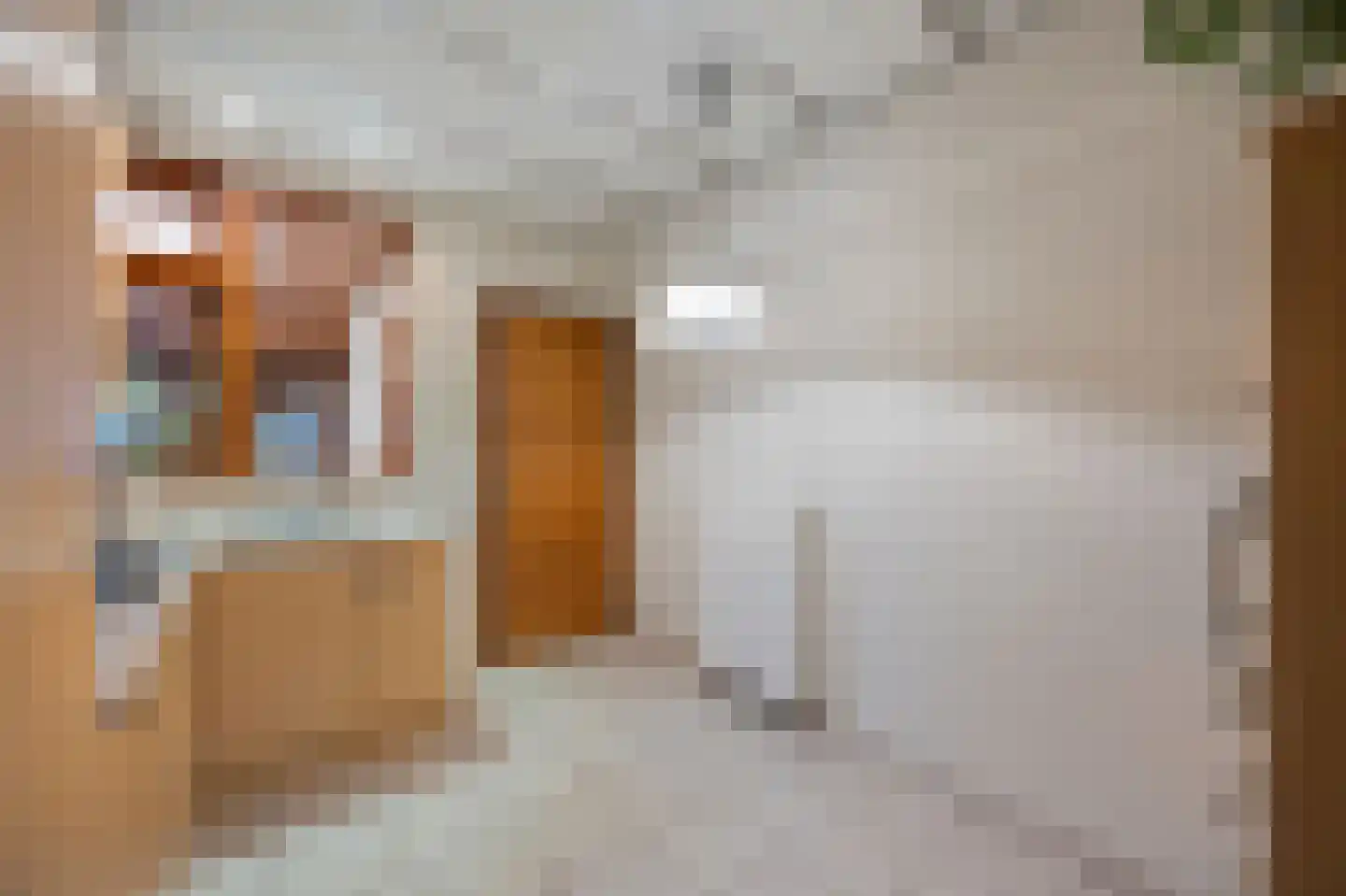 Pater van Heldenstraat 14 Susteren thumbnail 15