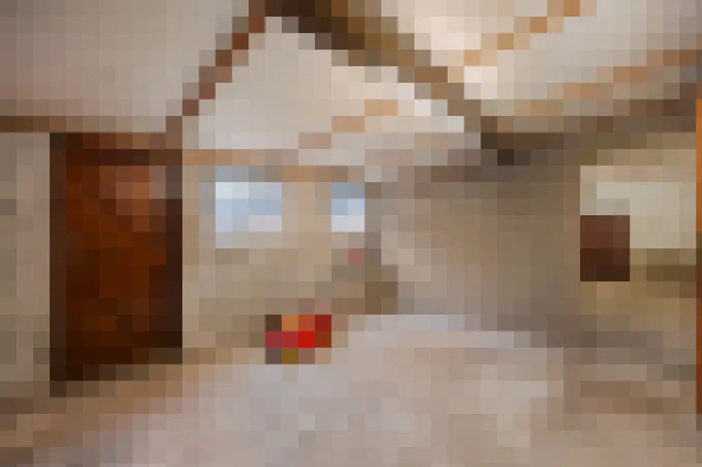 Pater van Heldenstraat 14 Susteren thumbnail 23