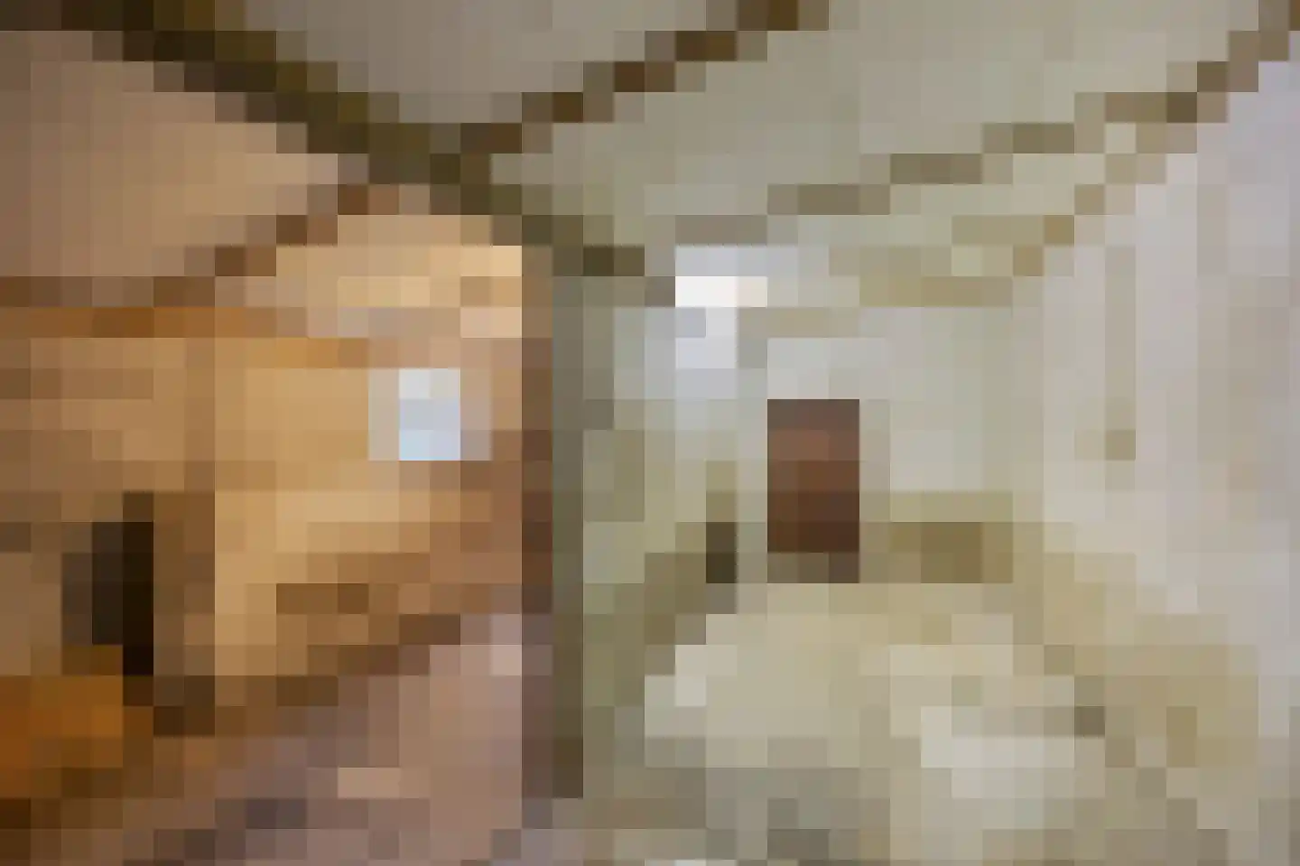 Pater van Heldenstraat 14 Susteren thumbnail 24