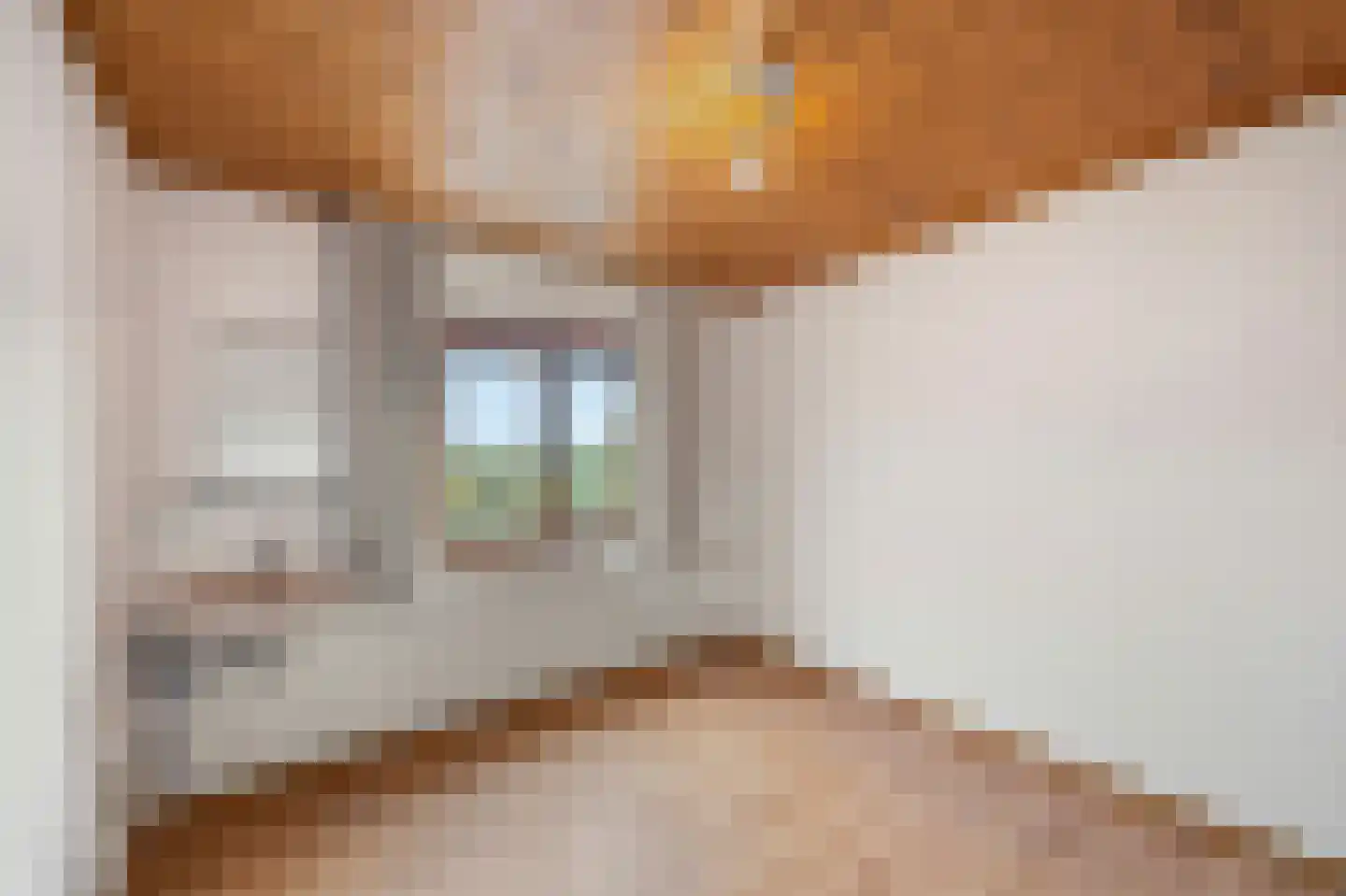 Pater van Heldenstraat 14 Susteren thumbnail 35