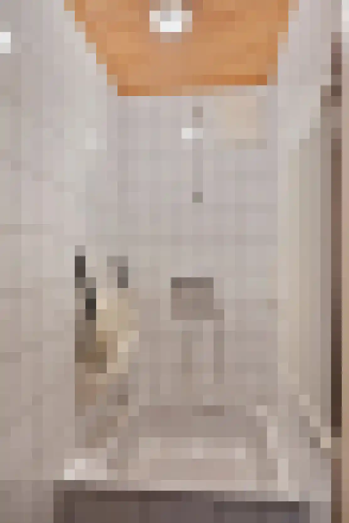 Pater van Heldenstraat 14 Susteren thumbnail 37