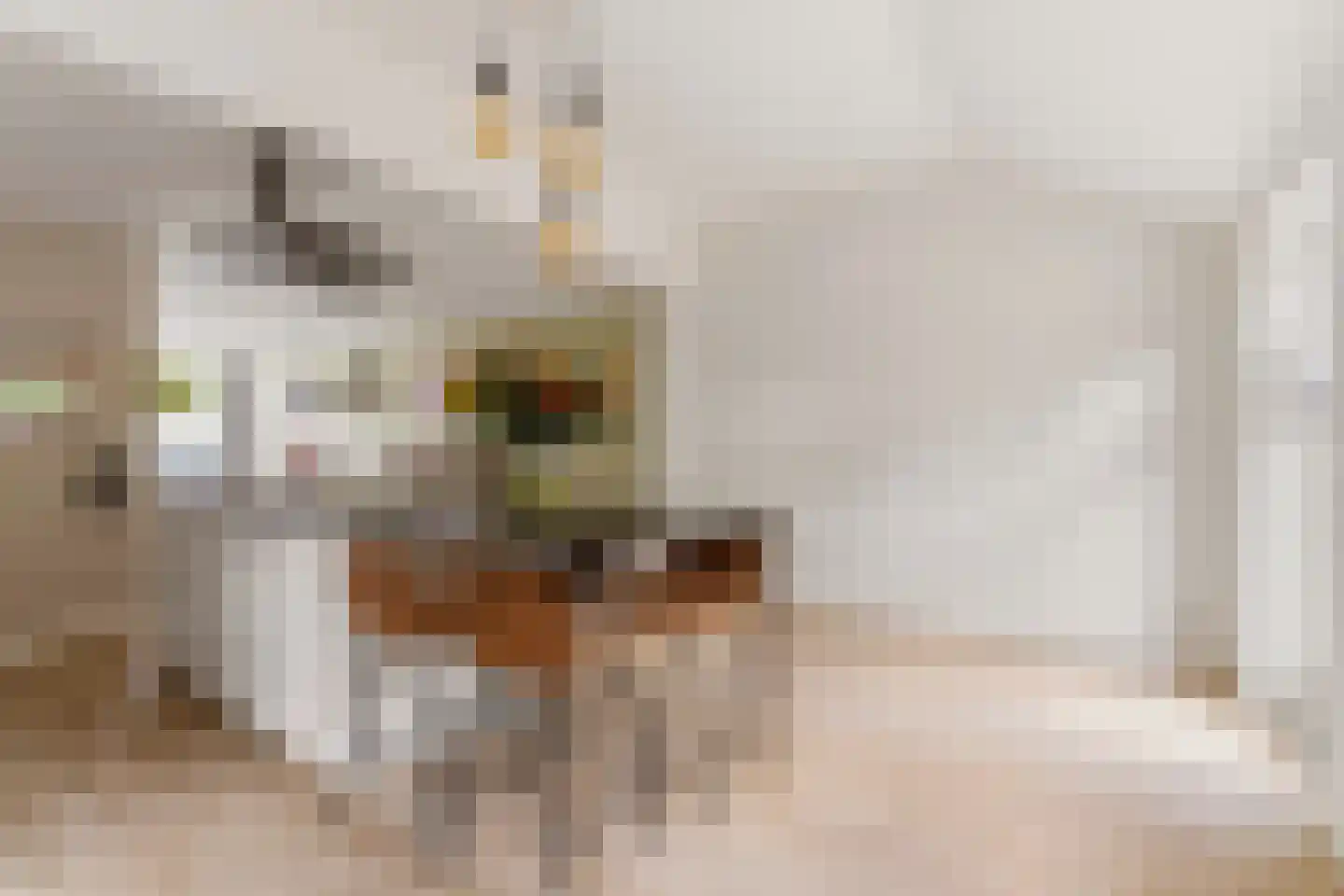 Pater van Stiphoutstraat 7 Siebengewald thumbnail 10