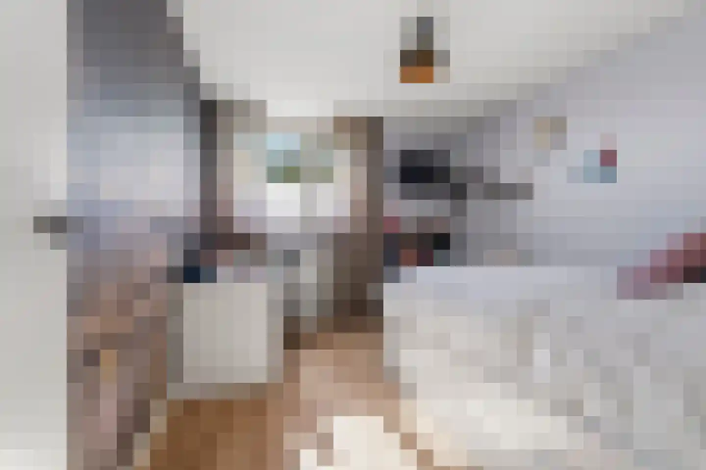 Pater van Stiphoutstraat 7 Siebengewald thumbnail 15