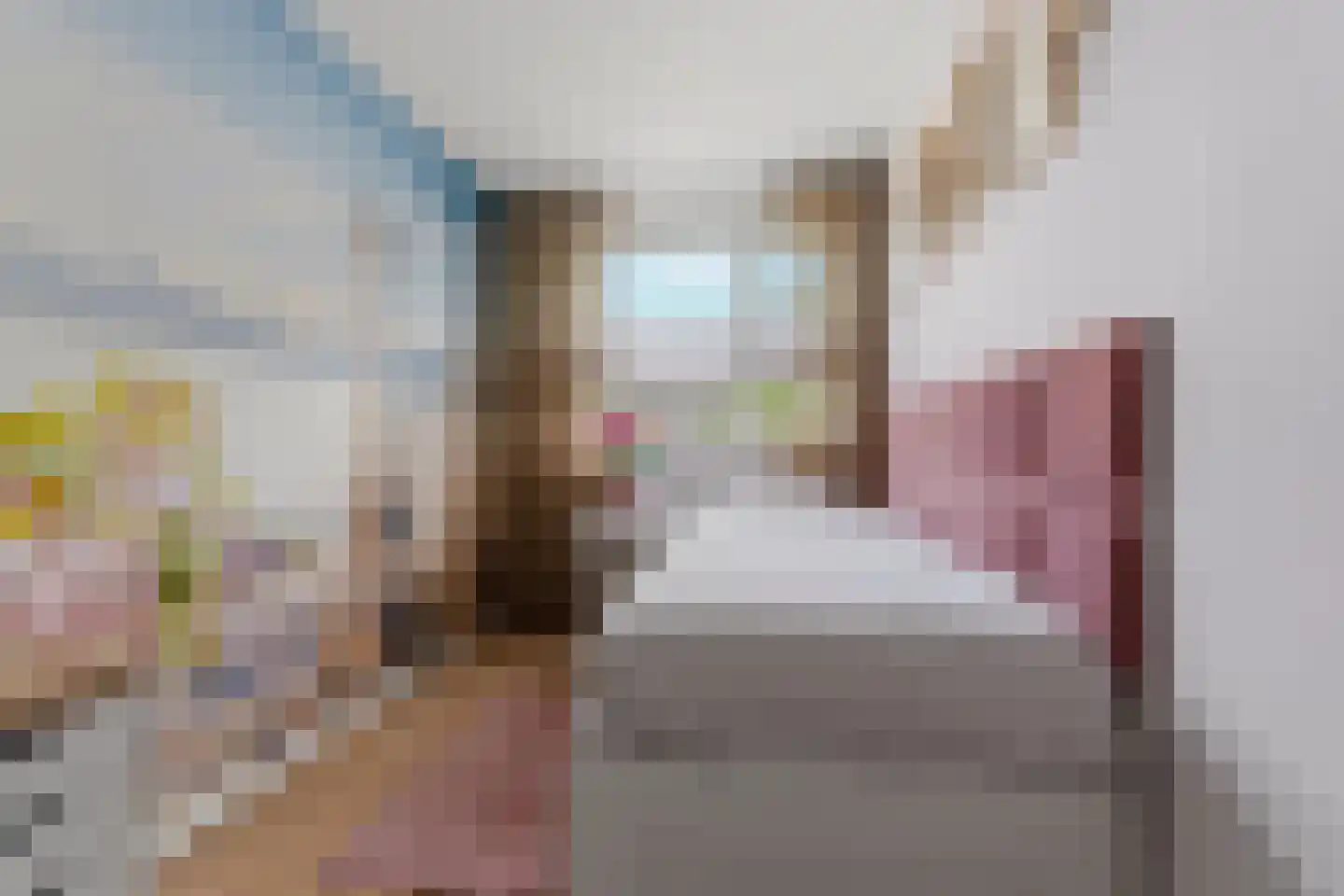 Pater van Stiphoutstraat 7 Siebengewald thumbnail 24
