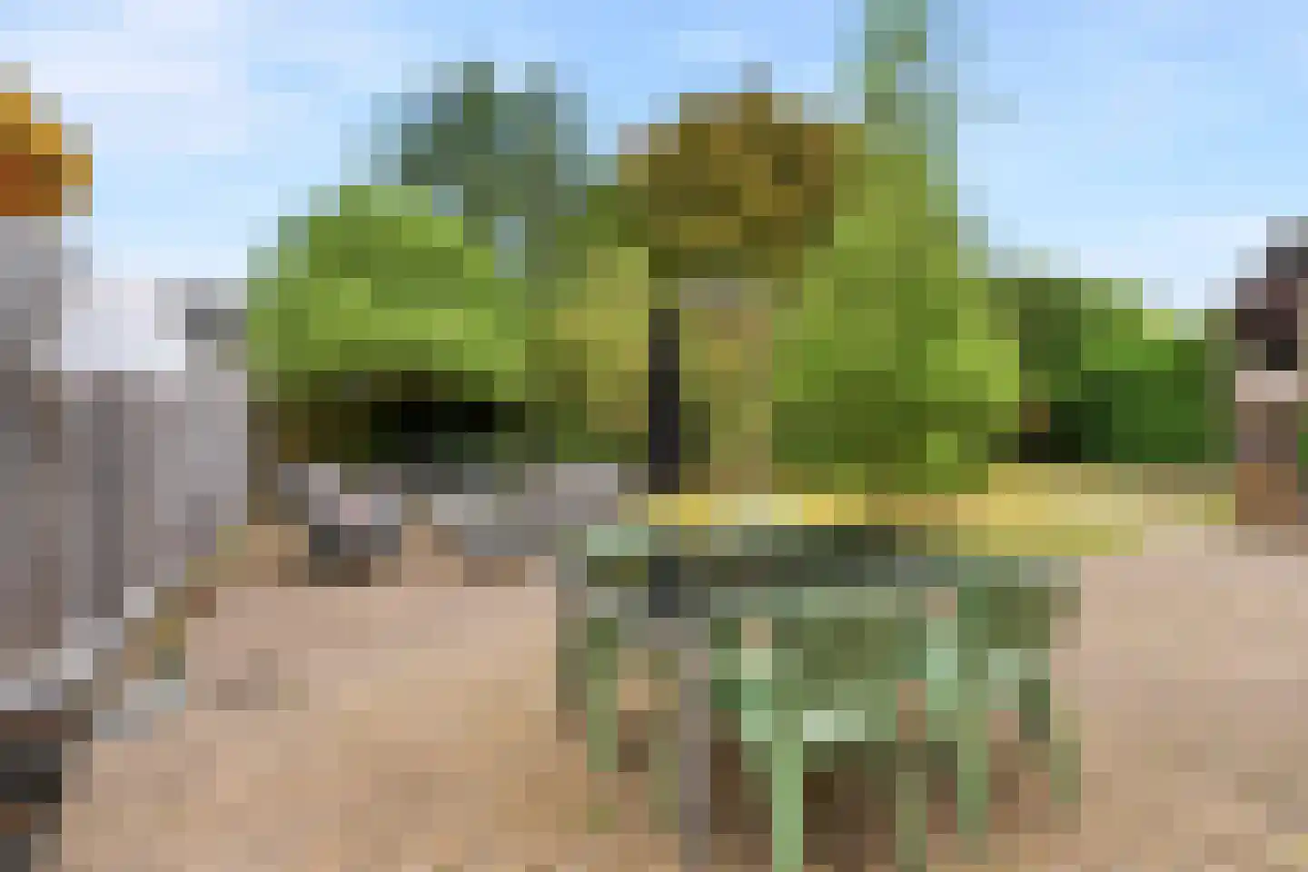 Pater van Stiphoutstraat 7 Siebengewald thumbnail 25