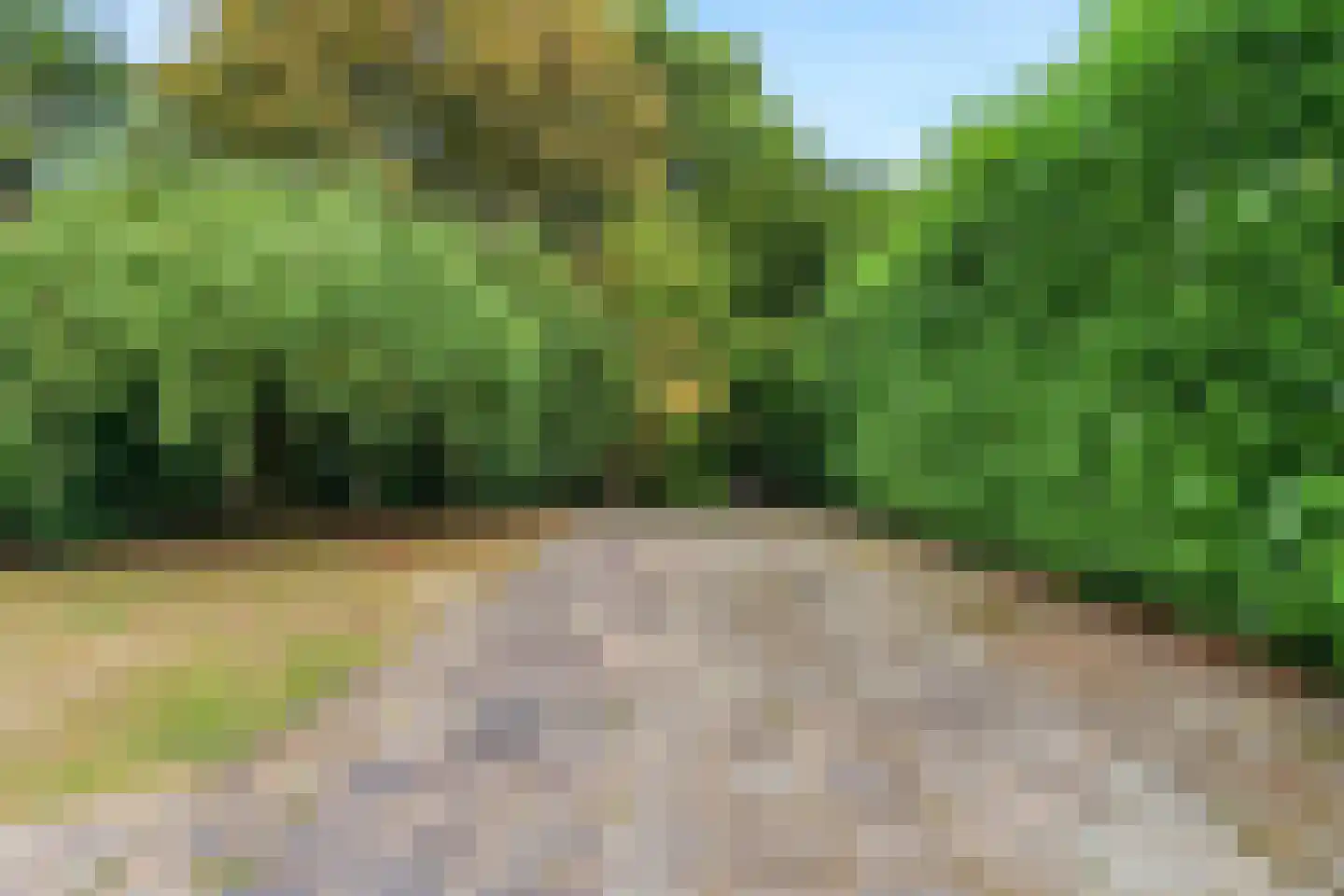Pater van Stiphoutstraat 7 Siebengewald thumbnail 28