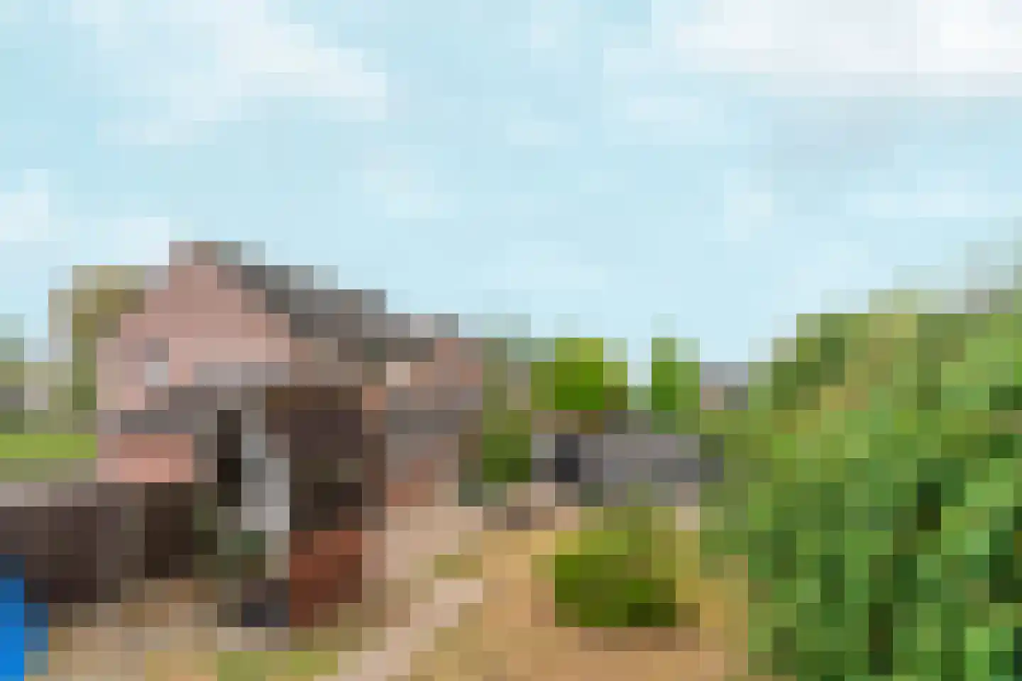 Pater van Stiphoutstraat 7 Siebengewald thumbnail 29