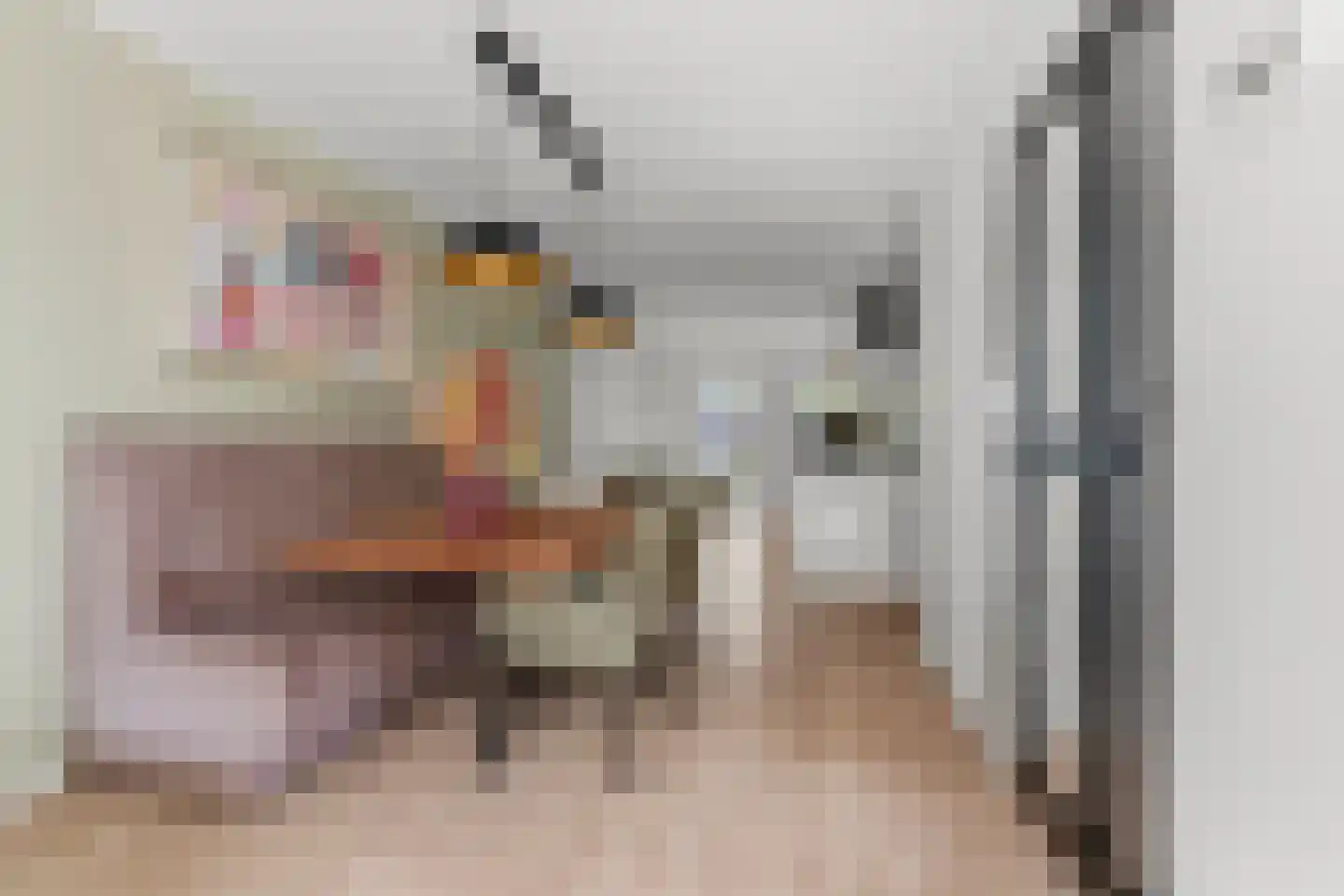 Pater van Stiphoutstraat 7 Siebengewald thumbnail 8