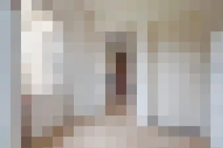Pater Veldmanlaan 22 Ammerzoden thumbnail 11