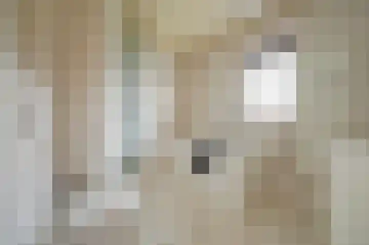 Pater Veldmanlaan 22 Ammerzoden thumbnail 17