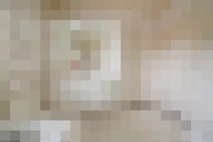 Pater Veldmanlaan 22 Ammerzoden thumbnail 18